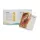 Sensus Sun Care Katalogus ENG